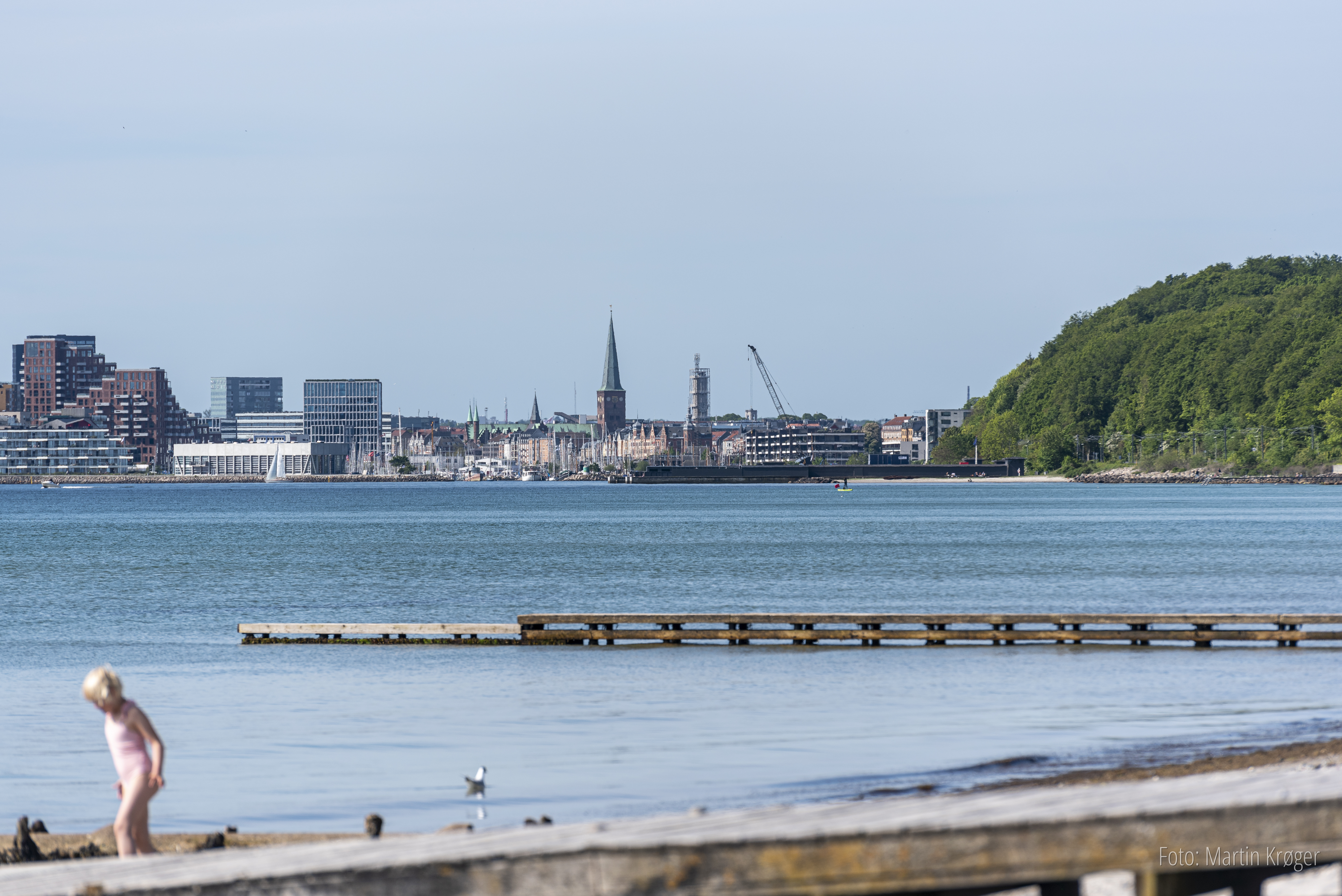 Sommer ved Bellevue med kig mod Aarhus
